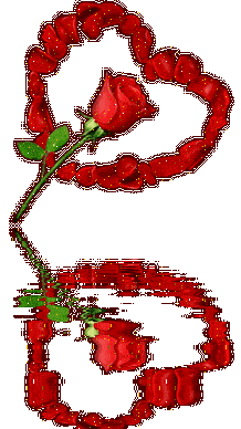 une fleur c vriamnet un signe d amour et le rouge c de la fidélité